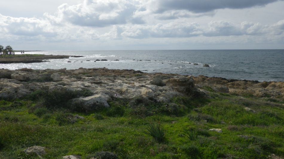 2018-01-16 07 Sea View.jpg